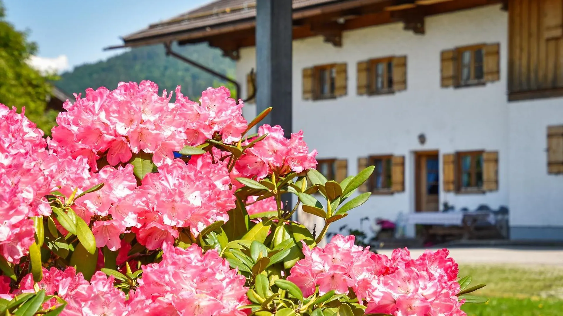 Moarhof Hotel Bad Wiessee 0*,